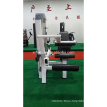 XF10 Xinrui fitness equipment factory Seated Leg Crul machine